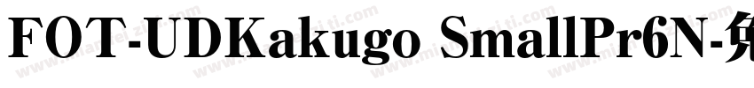 FOT-UDKakugo SmallPr6N字体转换